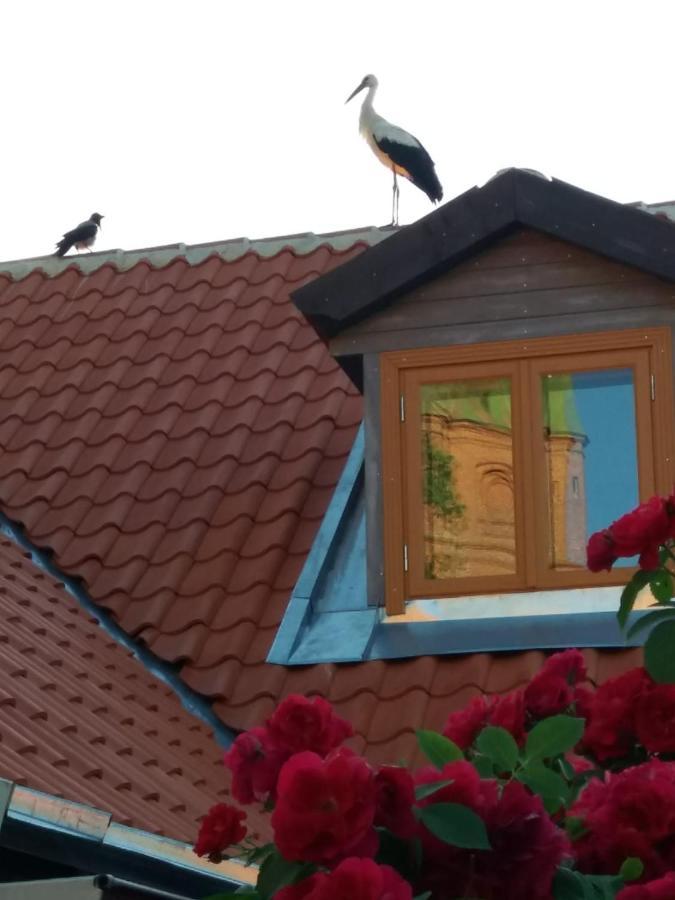 Lauma Apartment Kuldiga Bagian luar foto