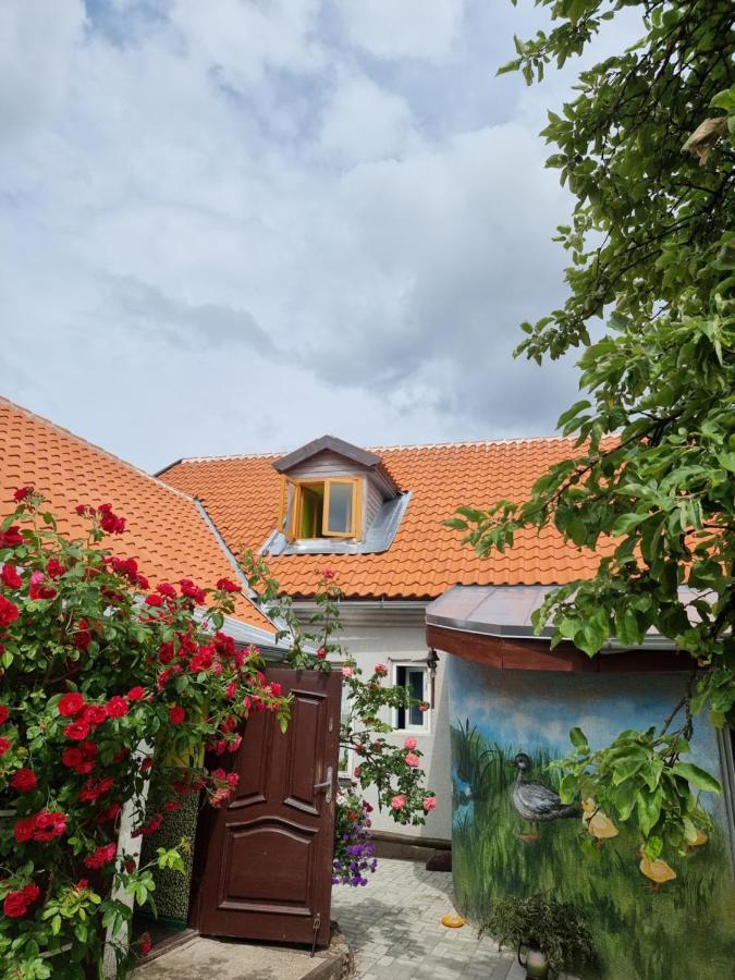 Lauma Apartment Kuldiga Bagian luar foto